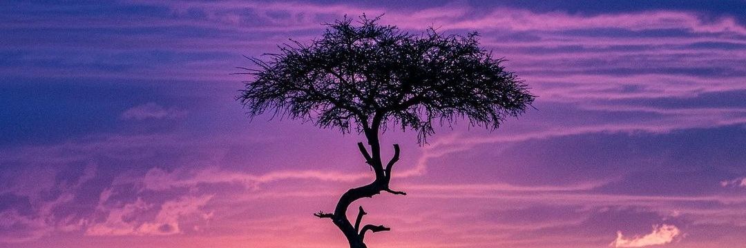 kariuki77's profile banner image