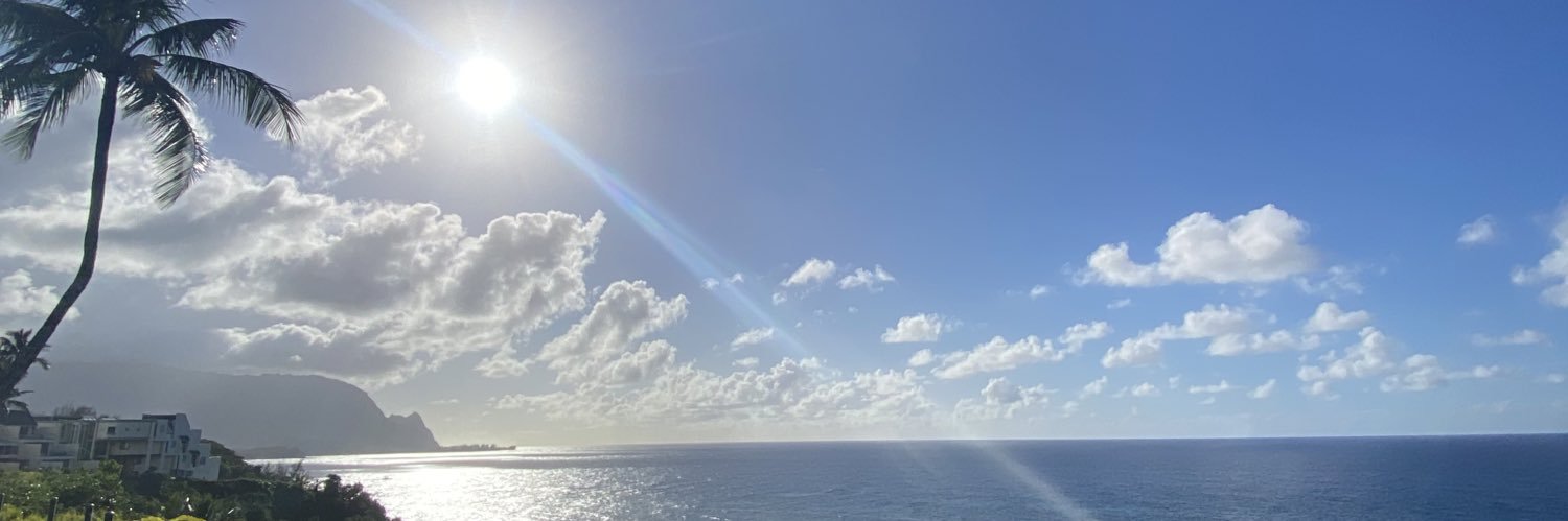 optimisydic's profile banner image