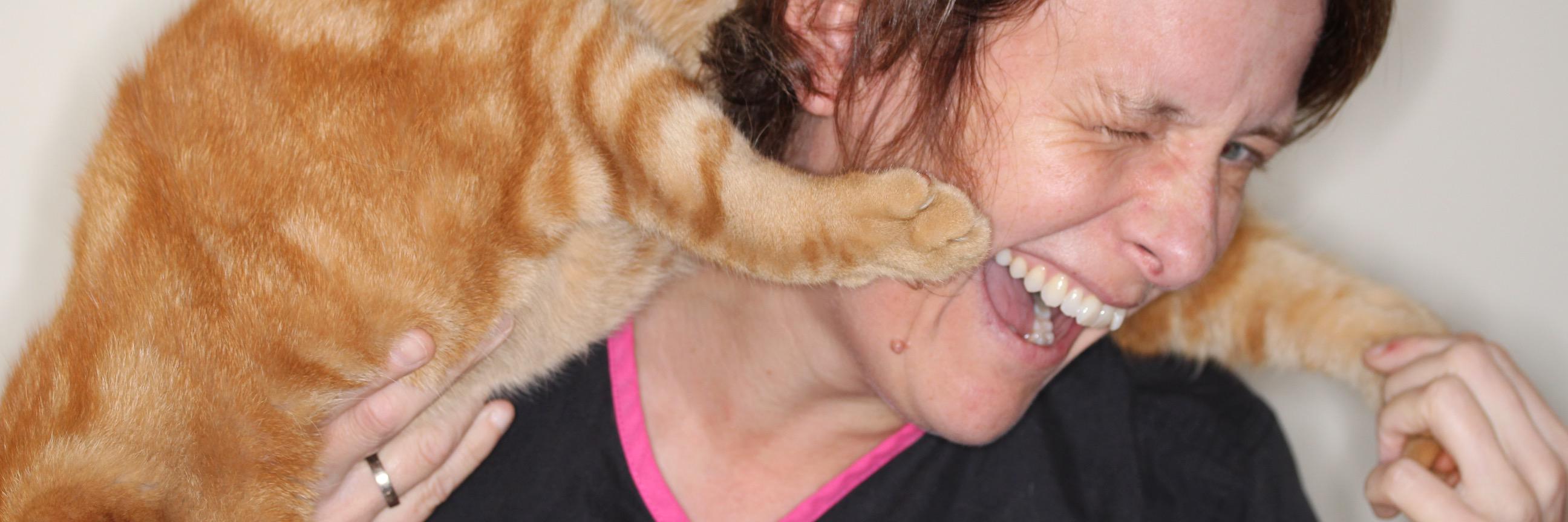 Perrydentalvet's profile banner image