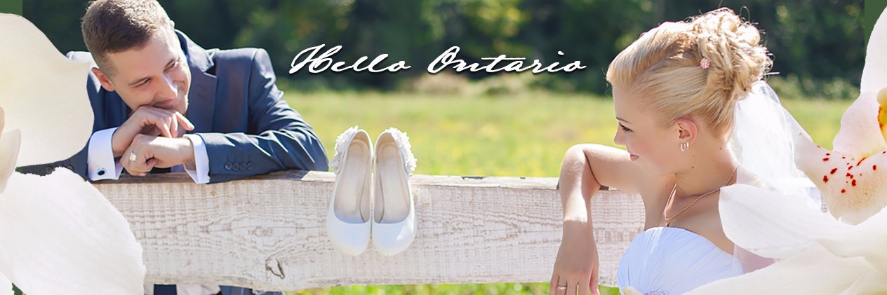 BridalShuttle's profile banner image