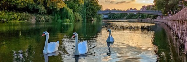 Salopsbfg Profile Banner