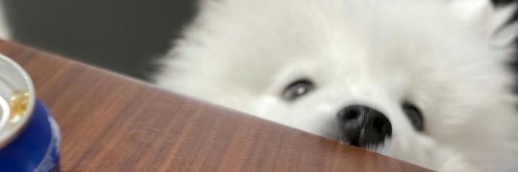 _Murmure_arr's profile banner image