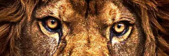 MohChoc's profile banner image