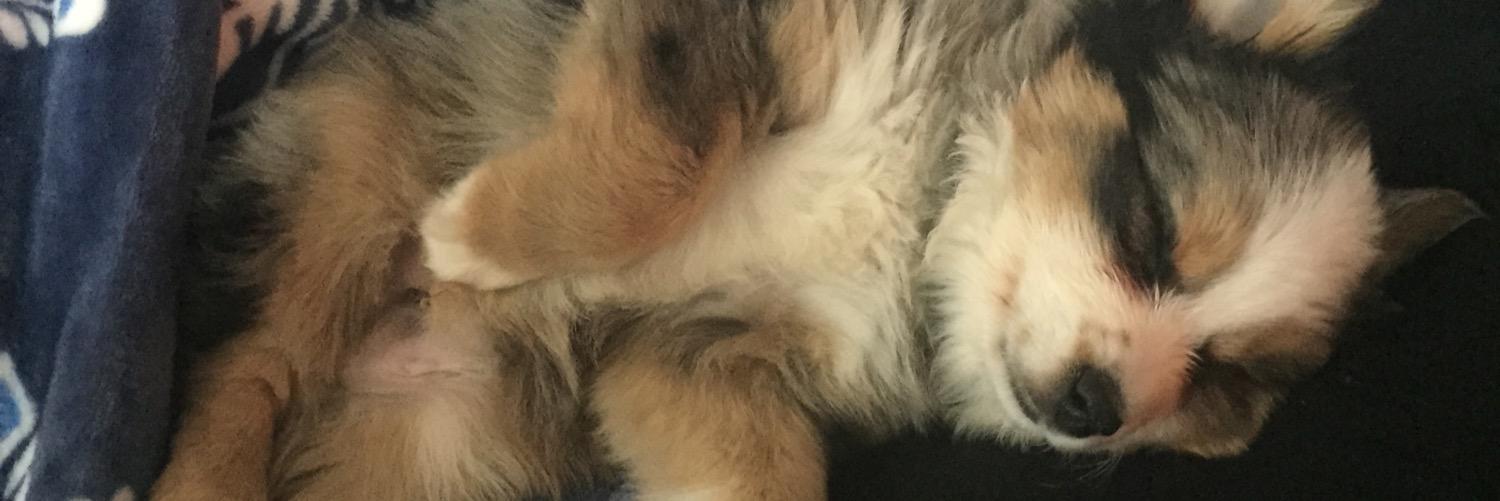 BigJibblets's profile banner image
