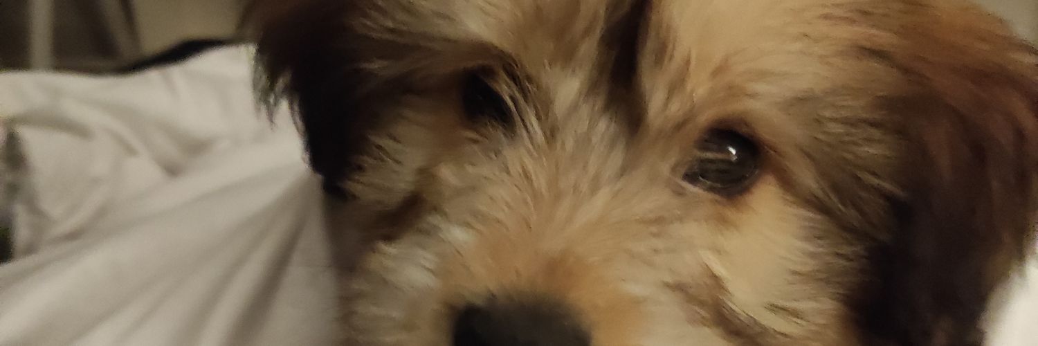 PelouSebastien's profile banner image