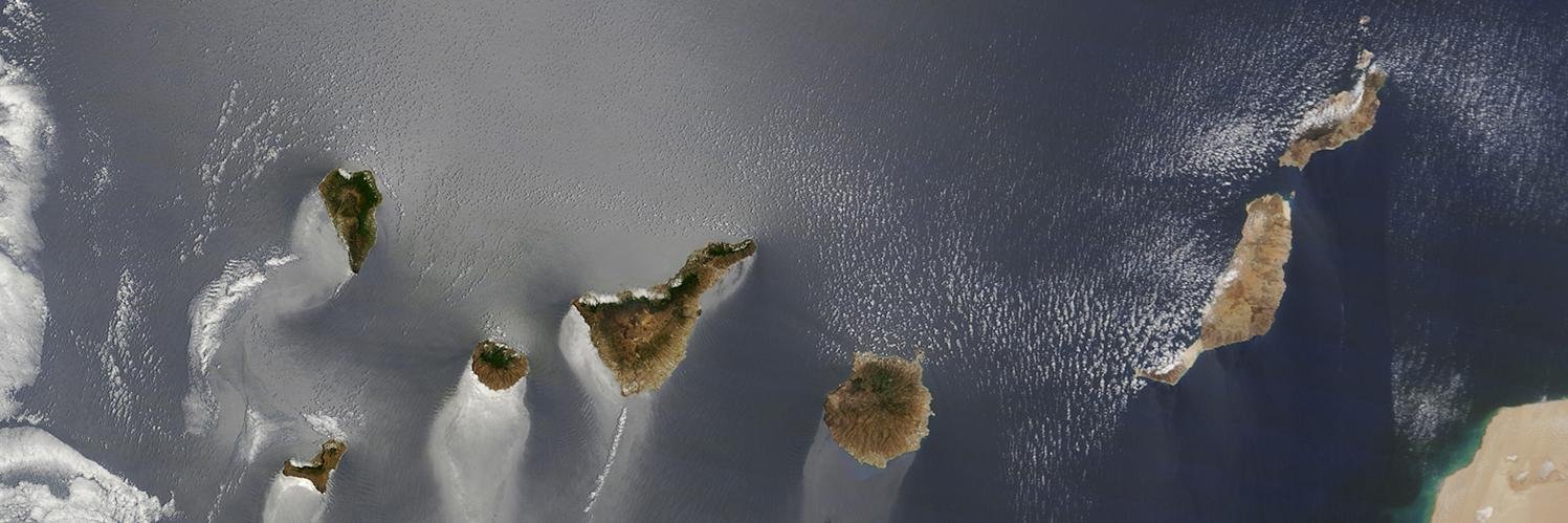 Manuel González banner