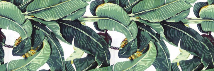 FloraEdward's profile banner image
