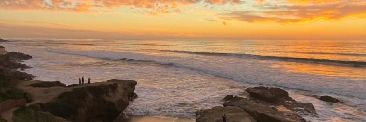 Torrey Holistics banner