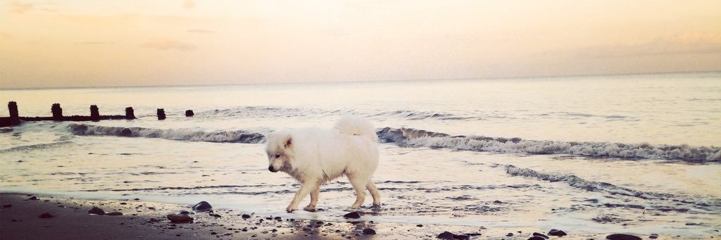 Hannah_Seddon's profile banner image