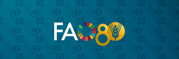 FAOKnowledge Profile Banner