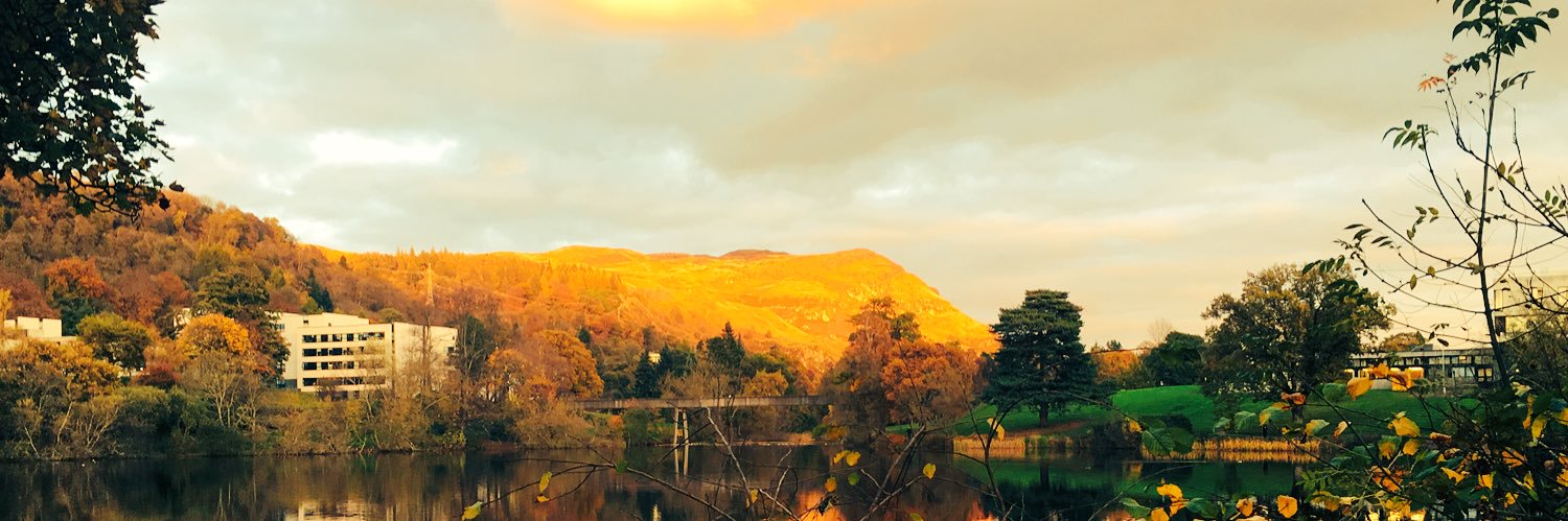 mattwilson901's profile banner image