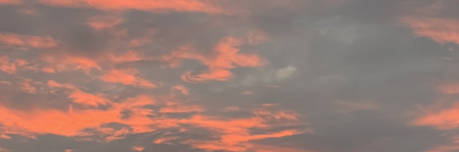 AnjelicaSolon's profile banner image