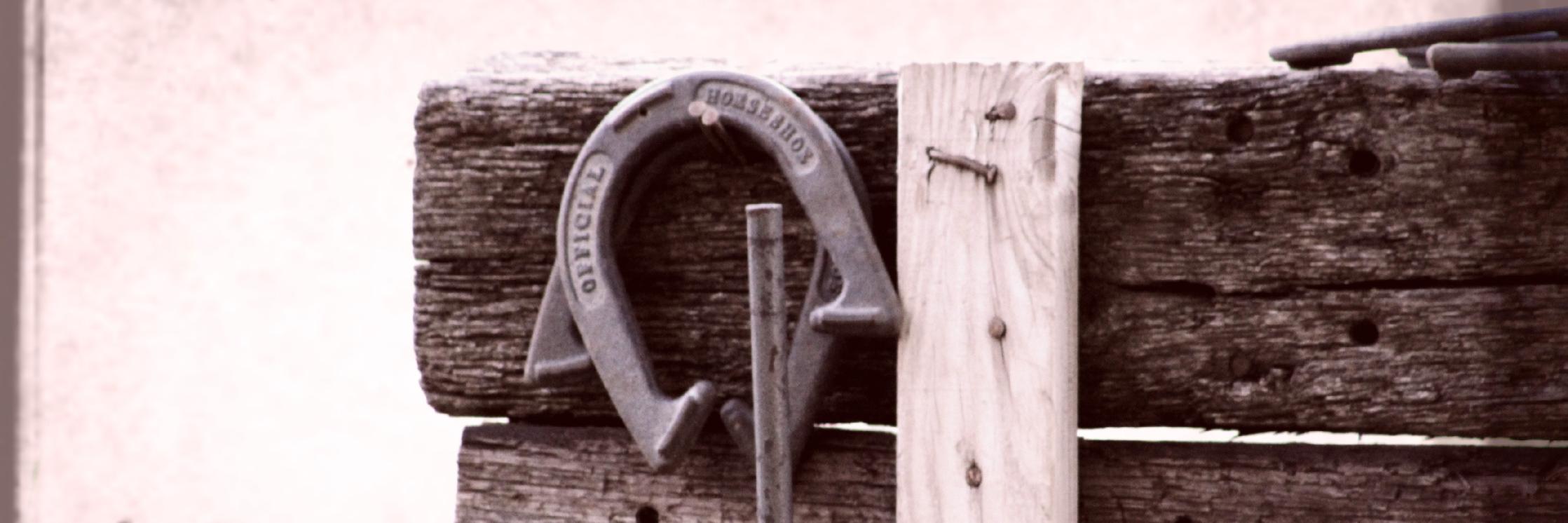 Laura Brewer banner