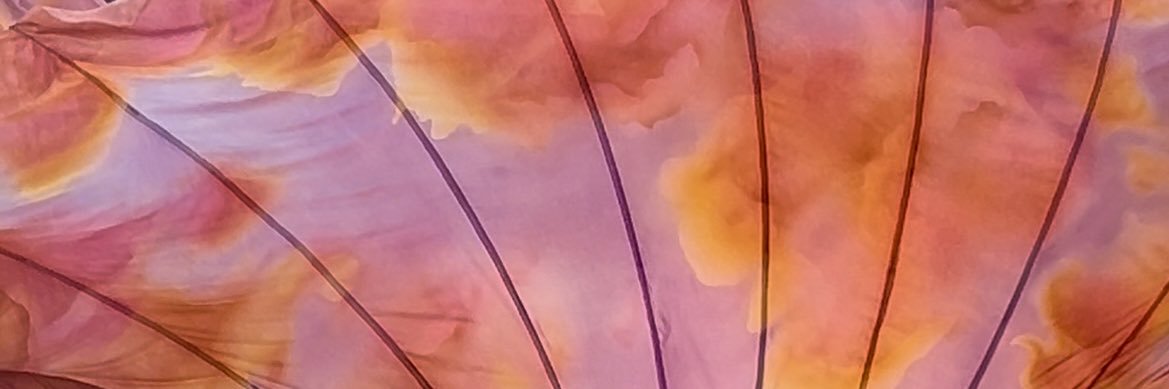 okmaput's profile banner image
