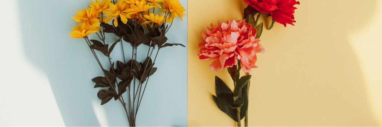 everydayposi's profile banner image