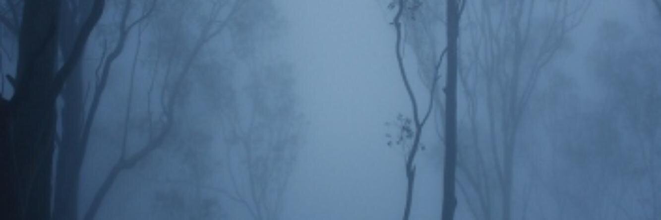 jojola79's profile banner image