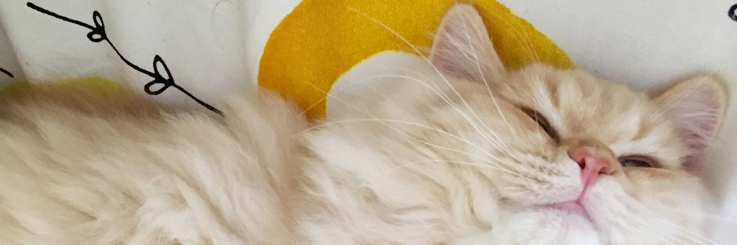kedamab's profile banner image