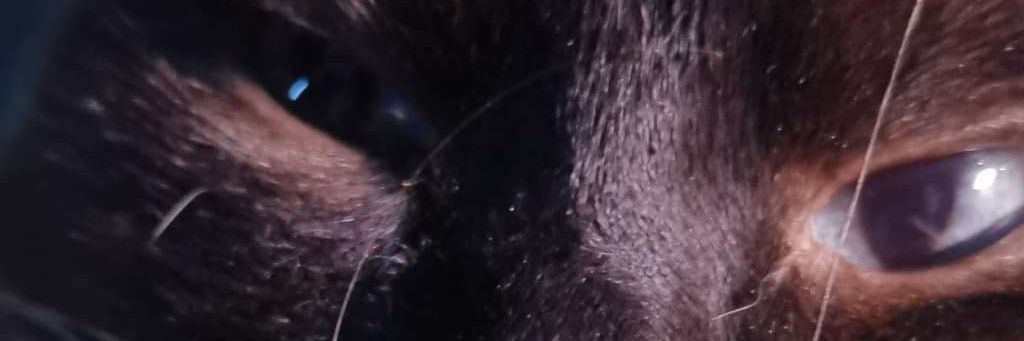 KTupec's profile banner image
