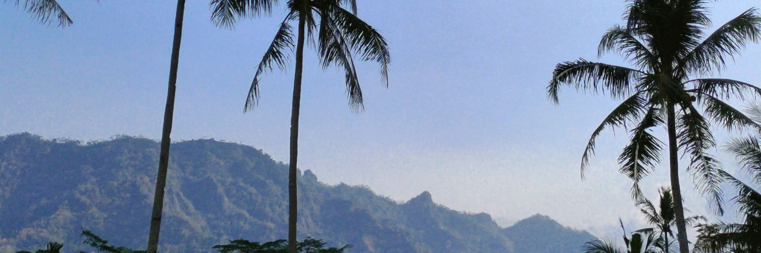 dantytasya's profile banner image