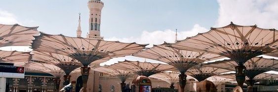 SadiahD's profile banner image