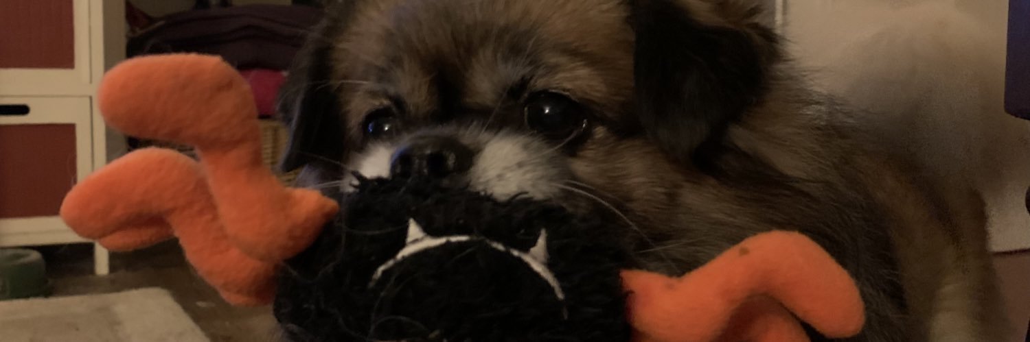 JessycaAnne89's profile banner image