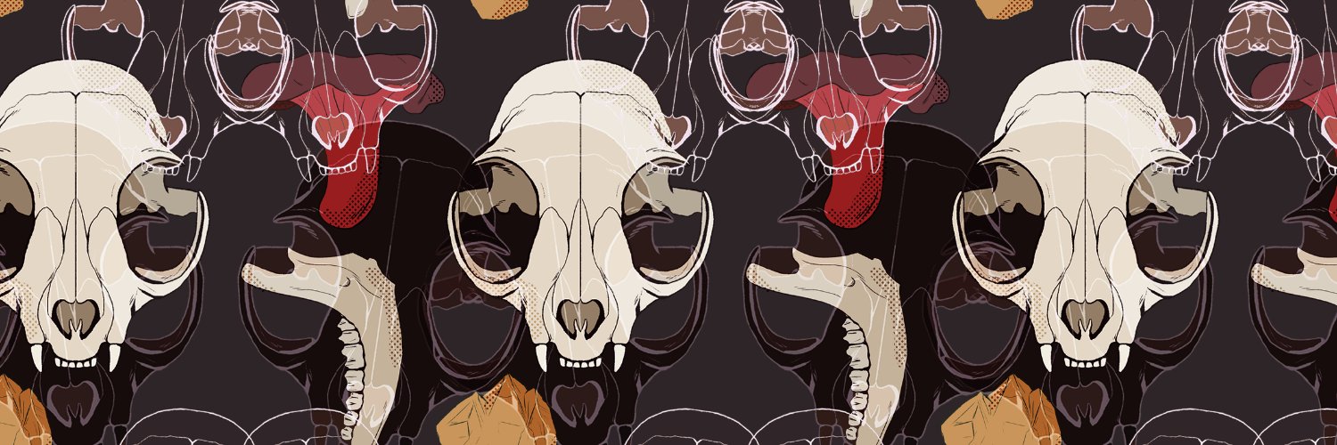 puffinnegan's profile banner image