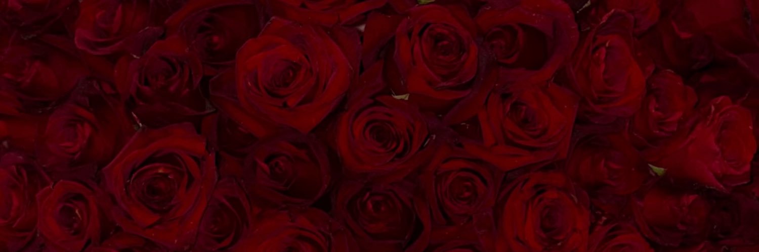 sevvyberry's profile banner image