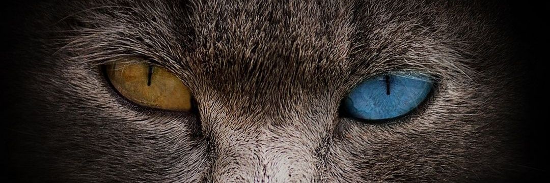 thibazio's profile banner image