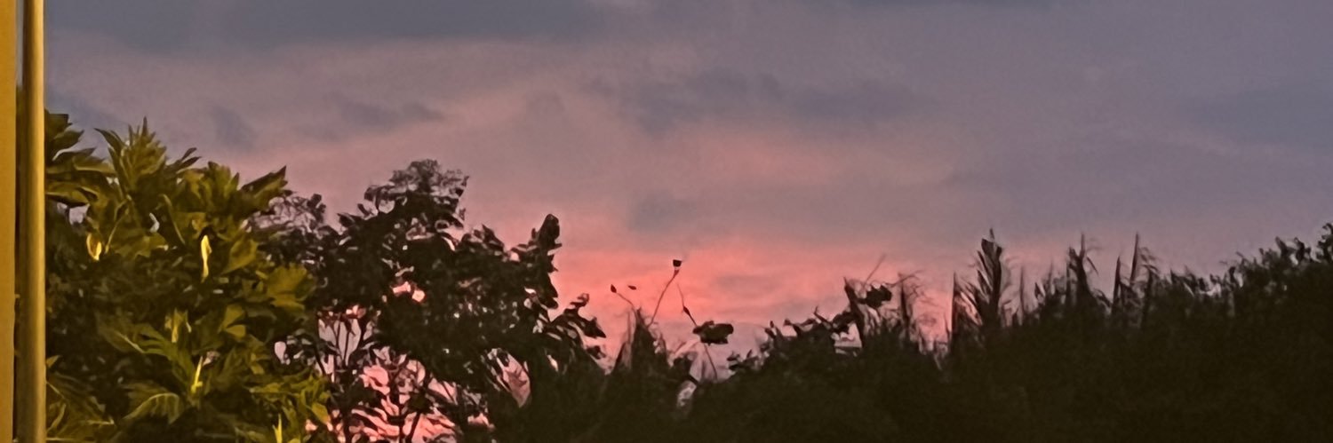 notyourngoen's profile banner image