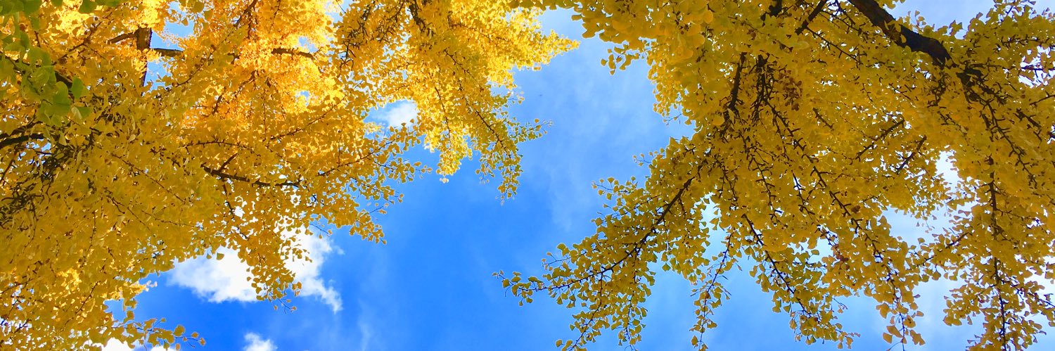 JenniferHarr's profile banner image