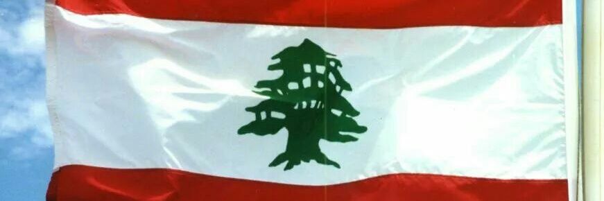 walidtannir's profile banner image