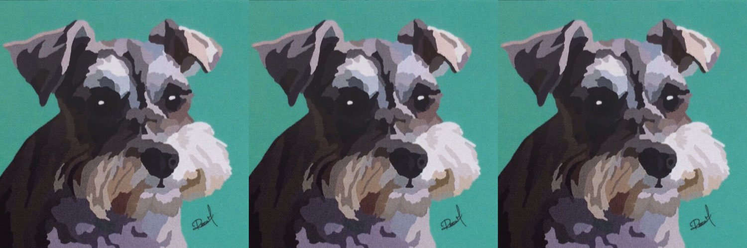 Jacqueline Oliva banner