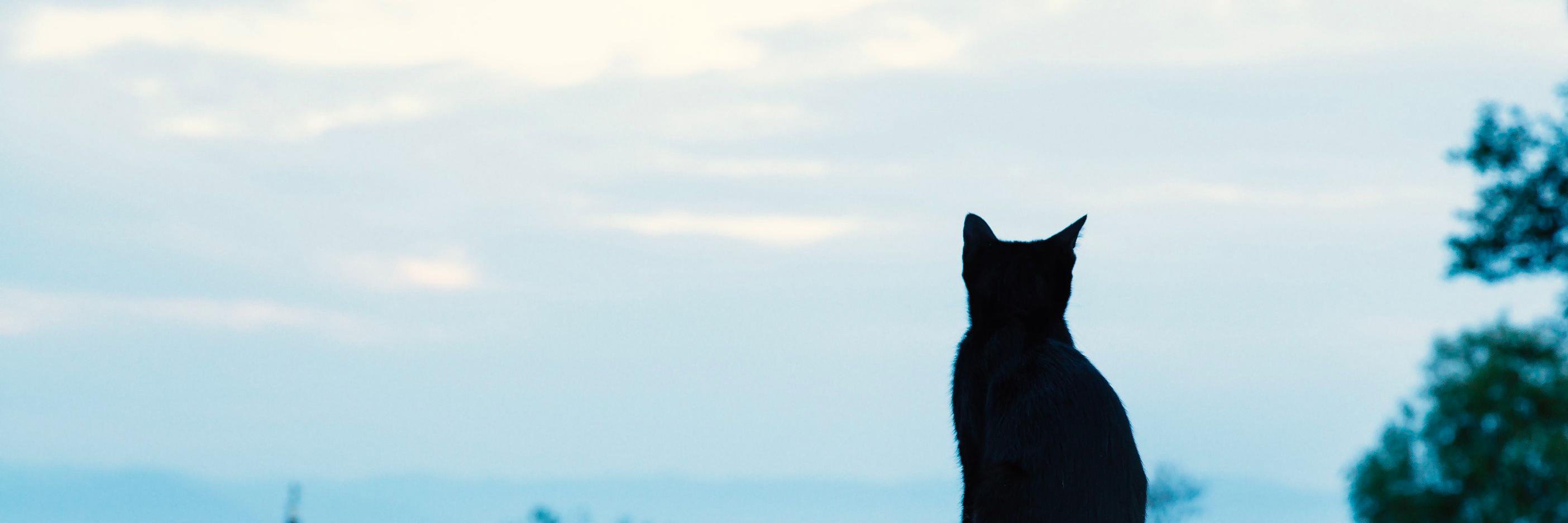 Cat Press's banner