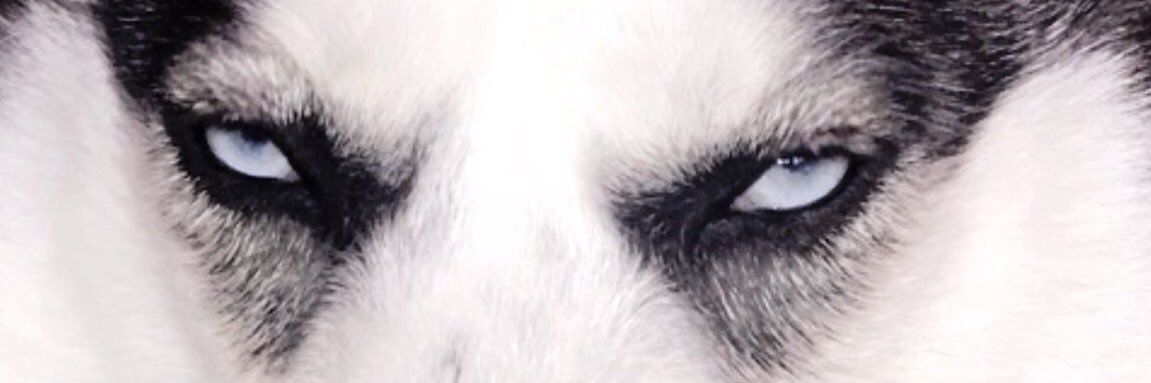 CandiLarsen's profile banner image