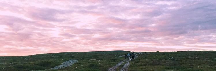 eelinko's profile banner image