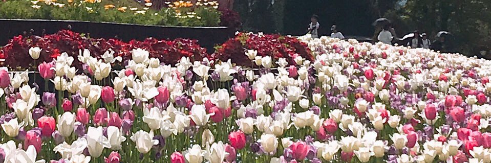 たつや banner