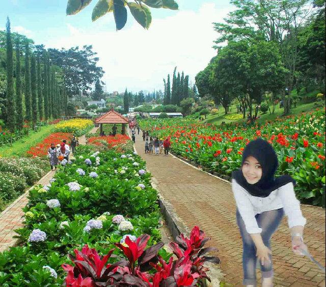 Fitria Ariska S.E MM banner