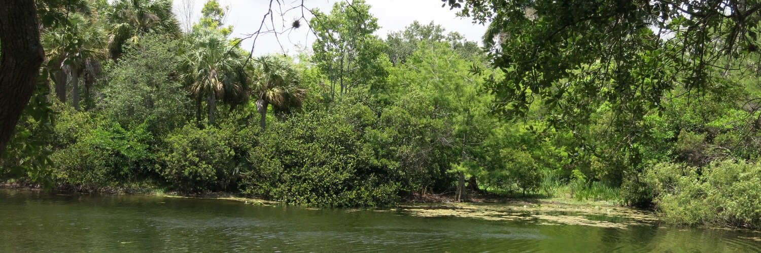 Floridagordon's profile banner image