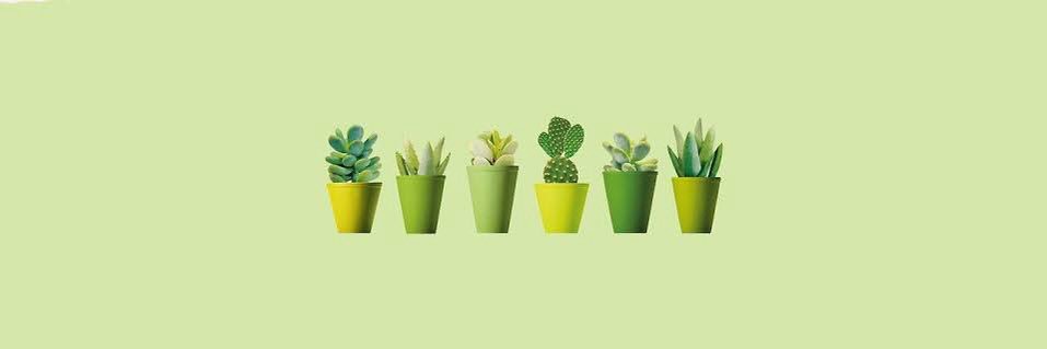 🌱 banner