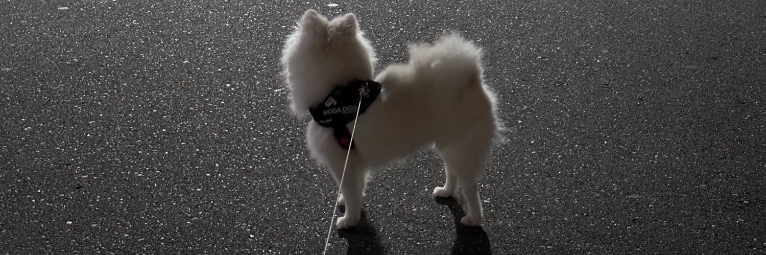 p_q__ww's profile banner image
