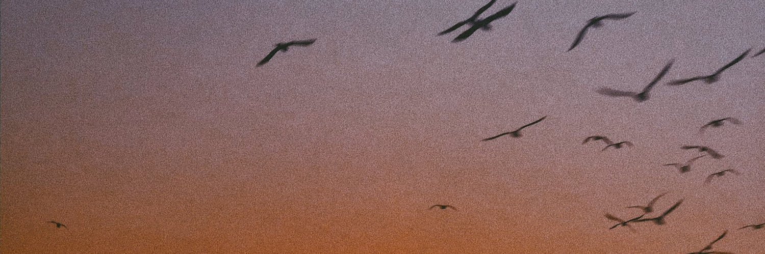 briensides's profile banner image