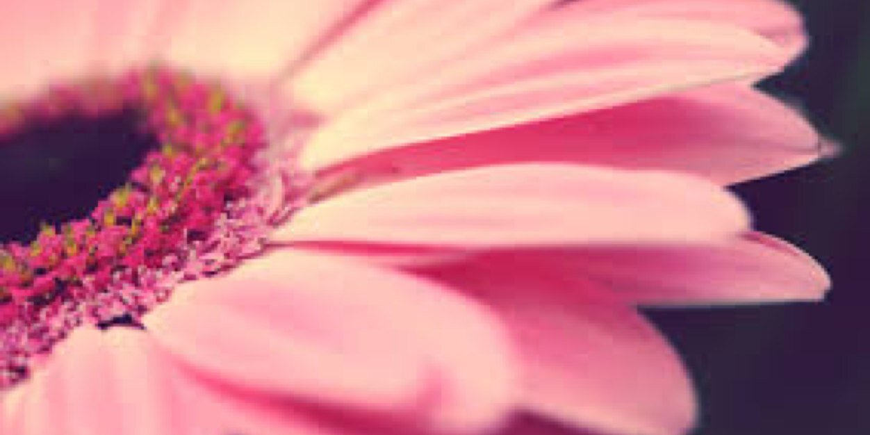 NicoleClarke9's profile banner image