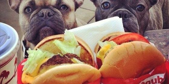 Matthew Rorie banner