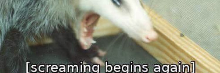 KatastrophicKye's profile banner image