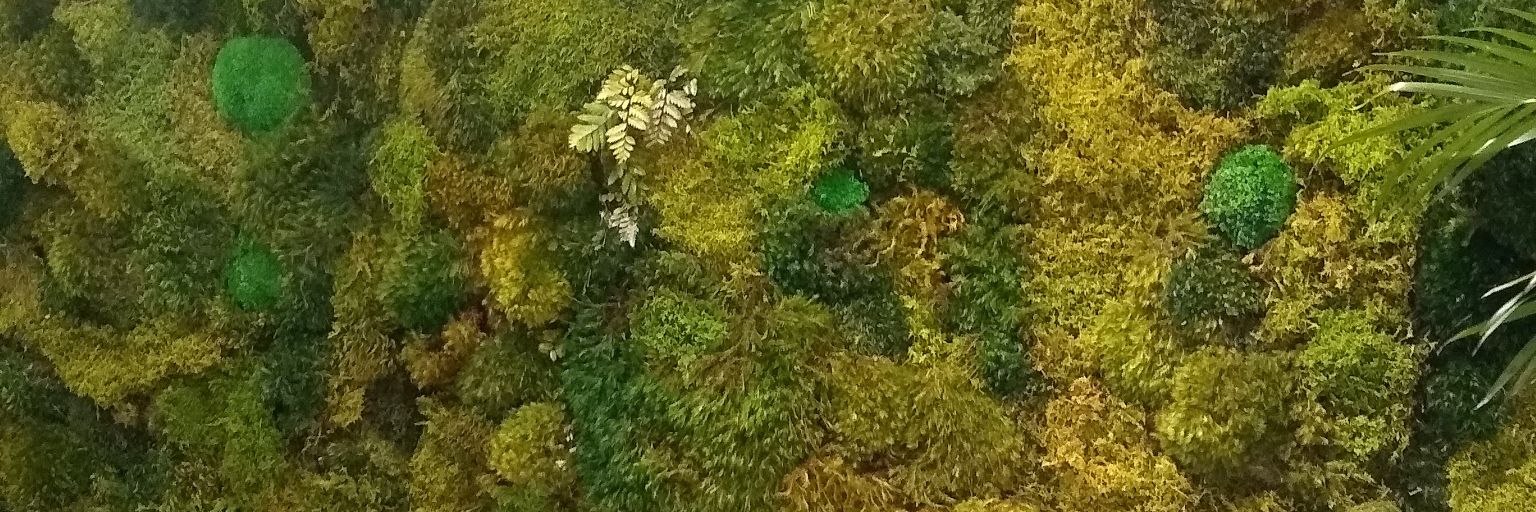 jennlingua's profile banner image