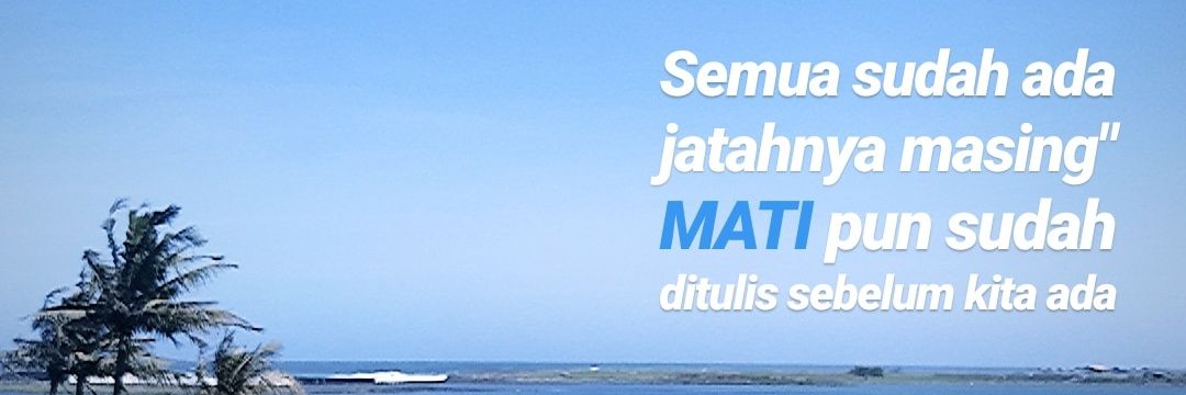 rynfebri's profile banner image