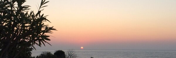 mcbunsy Profile Banner