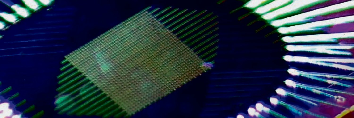 Manuel Moragues banner