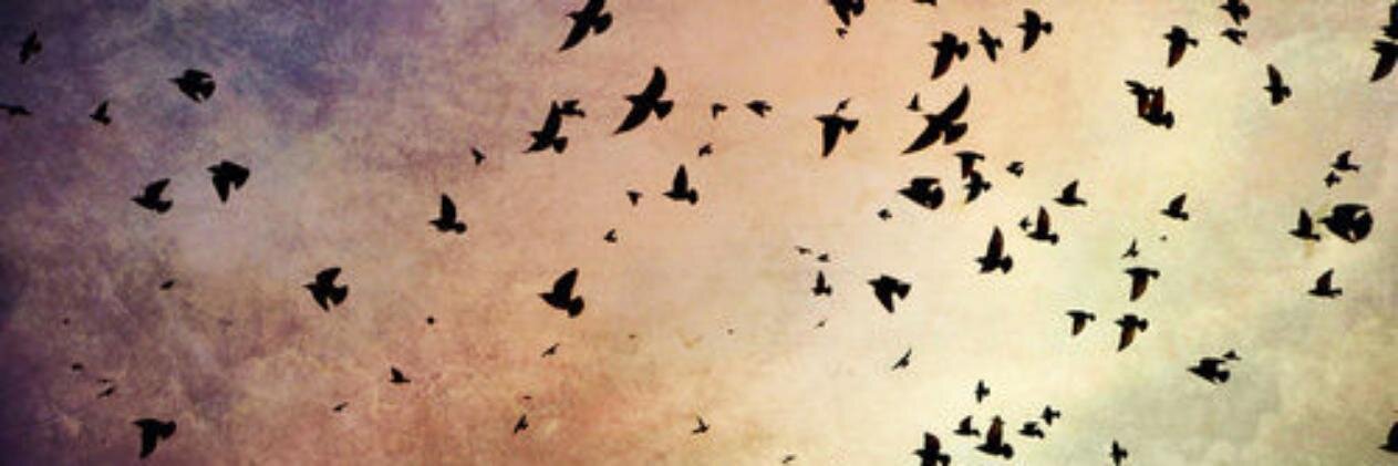 PequenaaEu's profile banner image