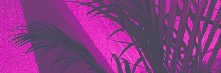 lea_brbd's profile banner image